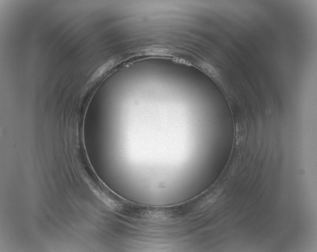 X0000078270349200611172036