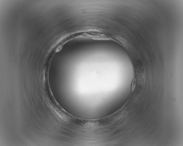 X0000078270350200611172036