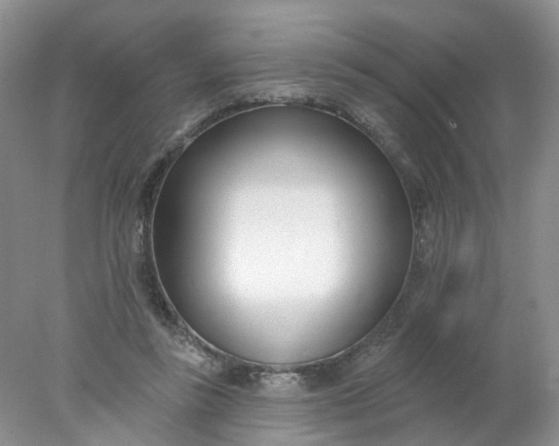 X0000078270355200611172036