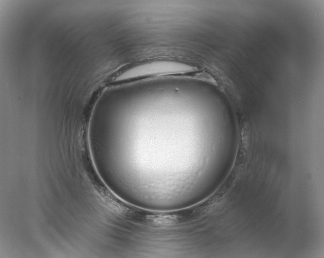 X0000078270359200611172036