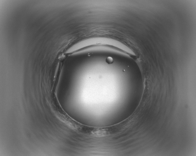 X0000078270362200611172036