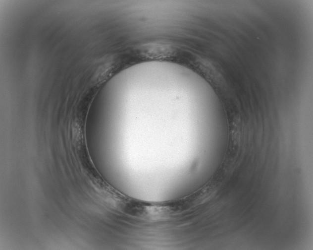 X0000078270371200611172037