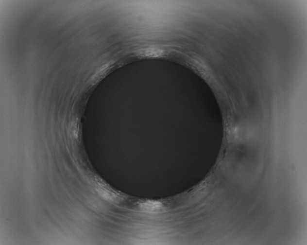 X0000078270374200611172037
