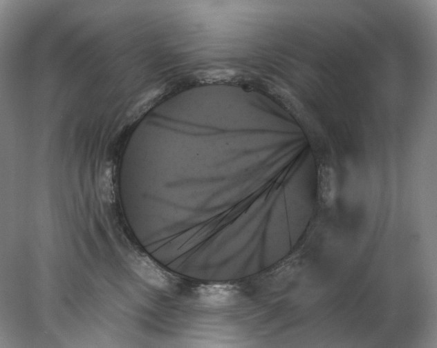 X0000078270378200611172037
