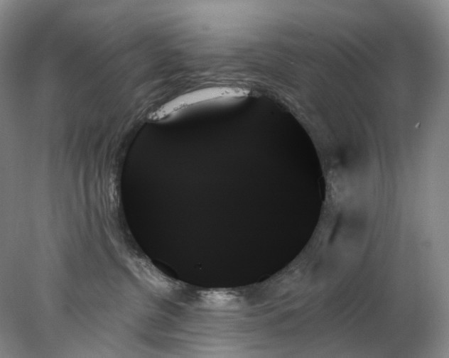 X0000078270380200611172037