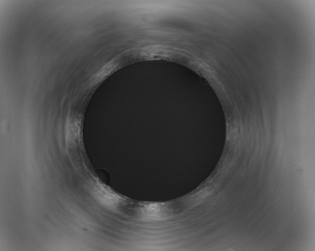 X0000078270382200611172037