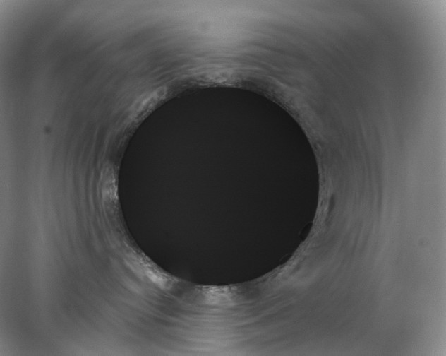 X0000078270384200611172037