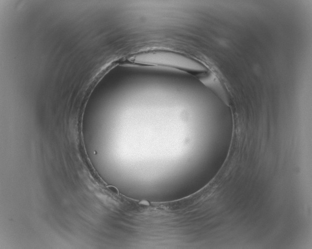 X0000078270386200611172036