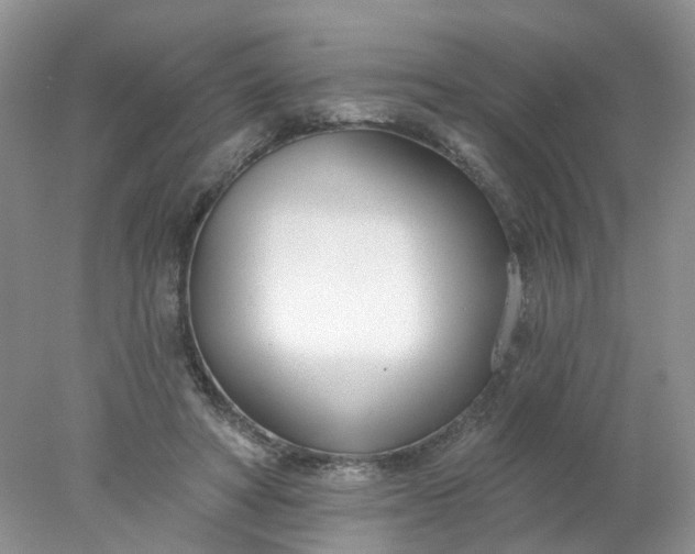 X0000078270402200611172036