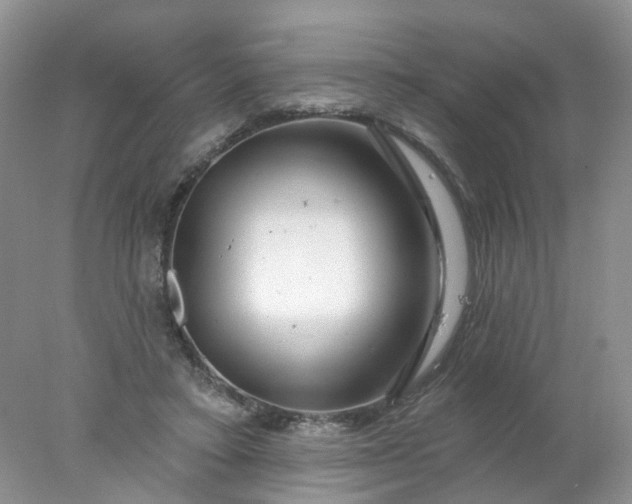 X0000078270403200611172036