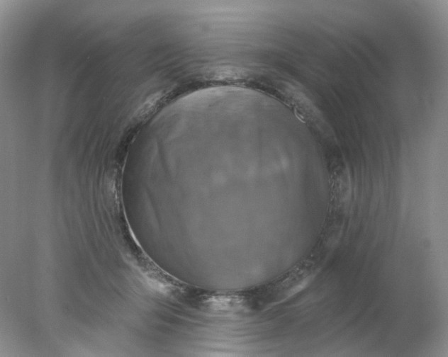 X0000078270415200611172036
