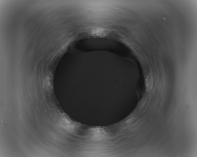 X0000078270424200611172035