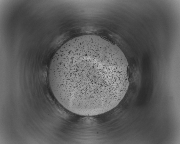 X0000078270427200611172035