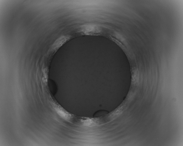 X0000078270430200611172035