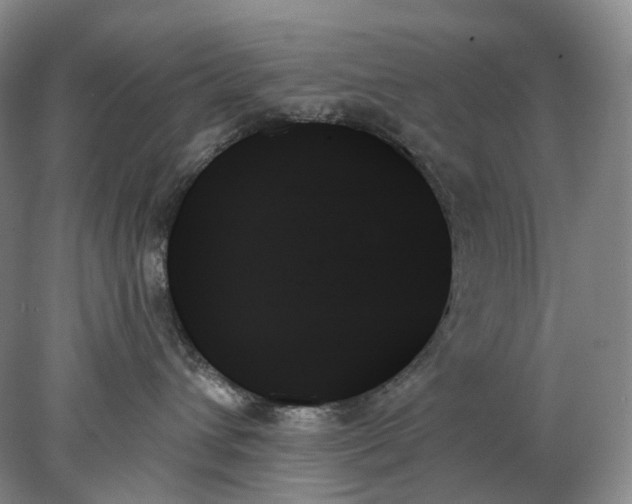 X0000078270432200611172035
