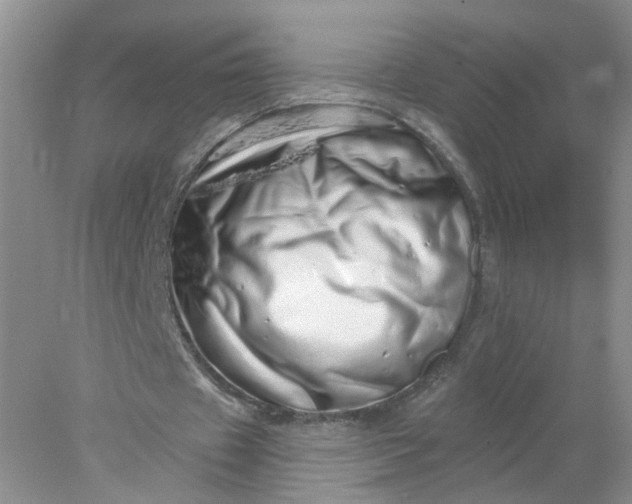 X0000078270433200611172034