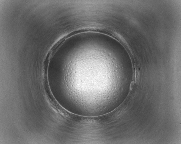 X0000078270435200611172034