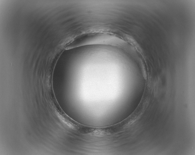 X0000078270441200611172035
