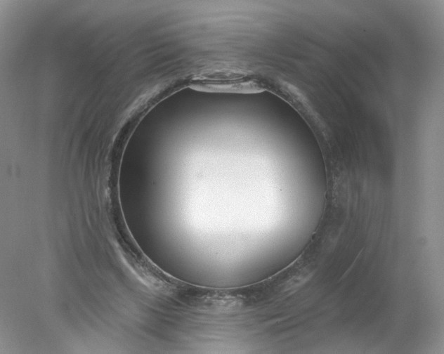 X0000078270443200611172035