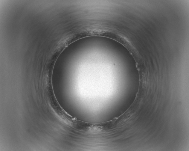 X0000078270451200611172035