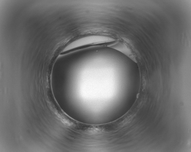 X0000078270453200611172035