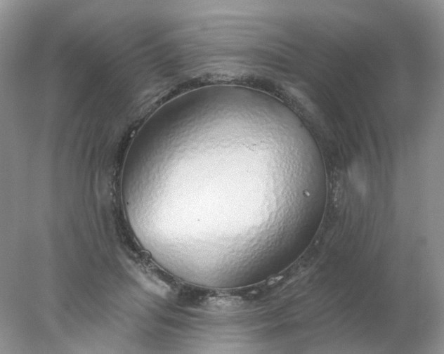 X0000078270455200611172035
