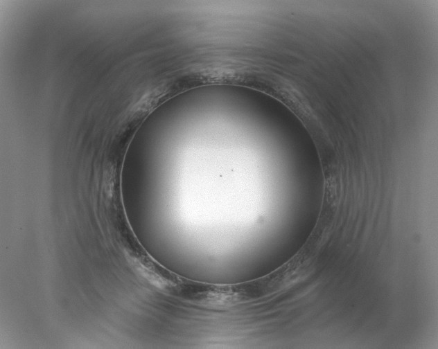 X0000078270458200611172035
