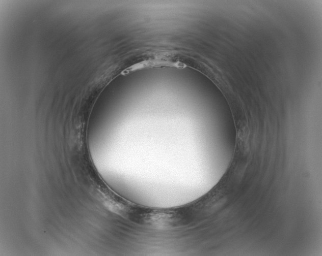 X0000078270462200611172035