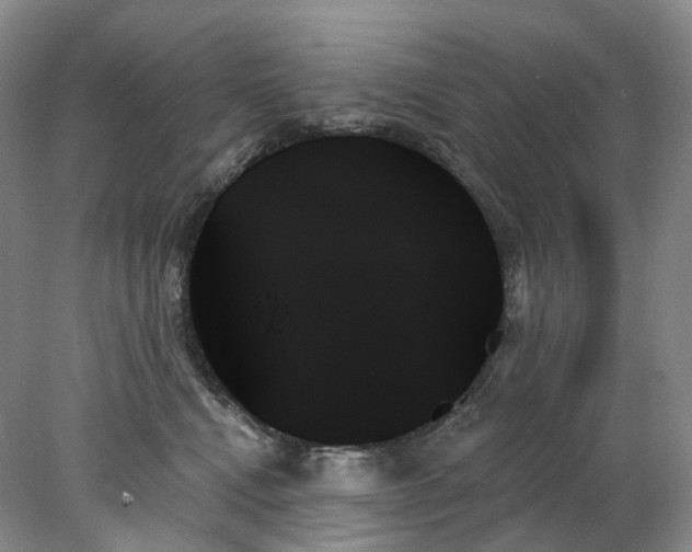 X0000078270472200611172035