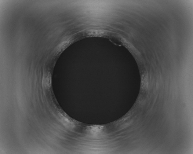 X0000078270474200611172035