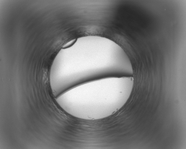 X0000078270478200611172035