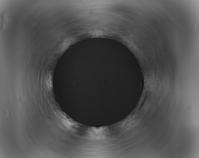 X0000078270479200611172035