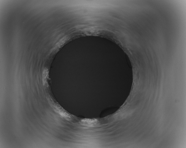 X0000078270480200611172035