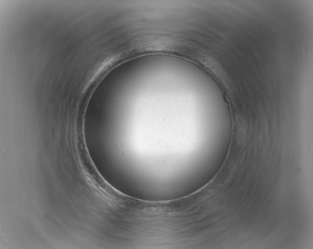 X0000078270482200611172034