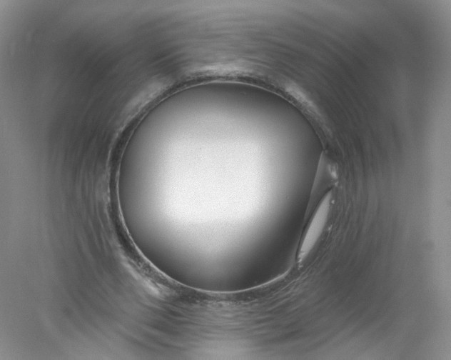 X0000078270486200611172034