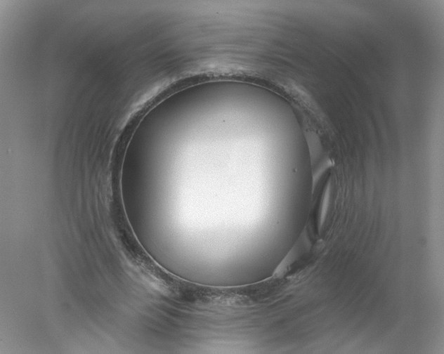 X0000078270488200611172034