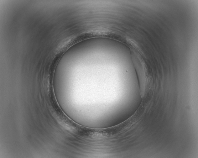 X0000078270494200611172034