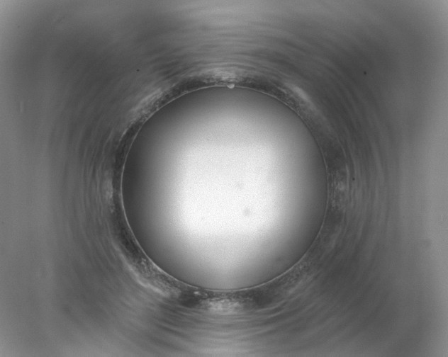 X0000078270500200611172034