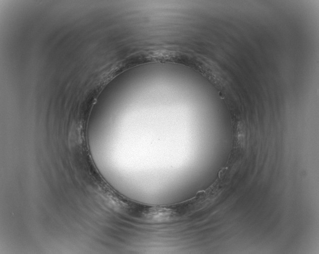 X0000078270514200611172034