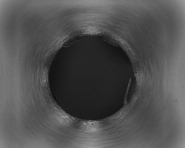 X0000078270517200611172034