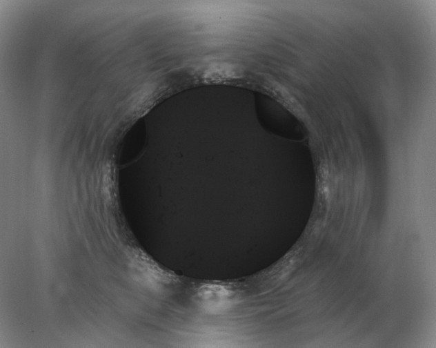 X0000078270519200611172034