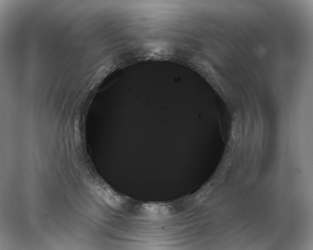 X0000078270520200611172034