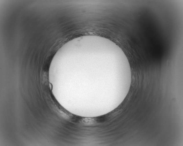X0000078270526200611172034