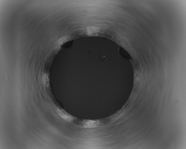 X0000078270527200611172034