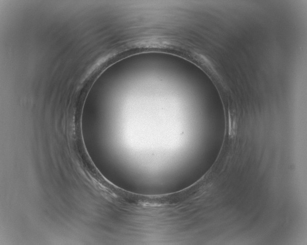 X0000078270531200611172033