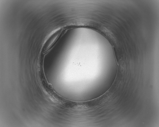X0000078270536200611172033