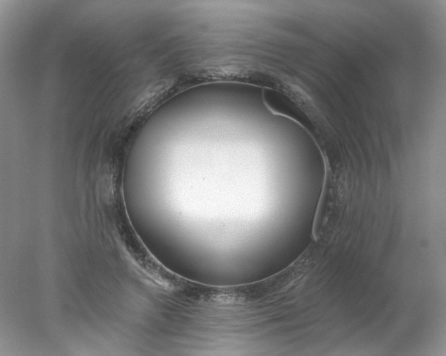 X0000078270546200611172033