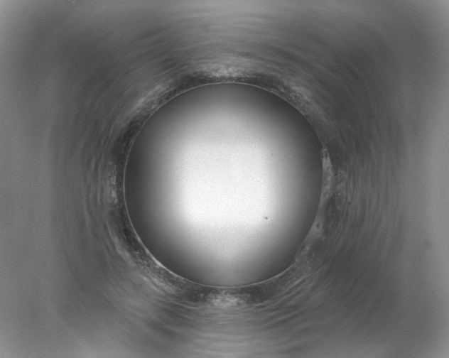 X0000078270547200611172033