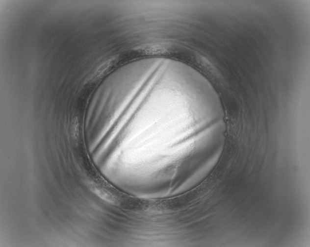 X0000078270549200611172033