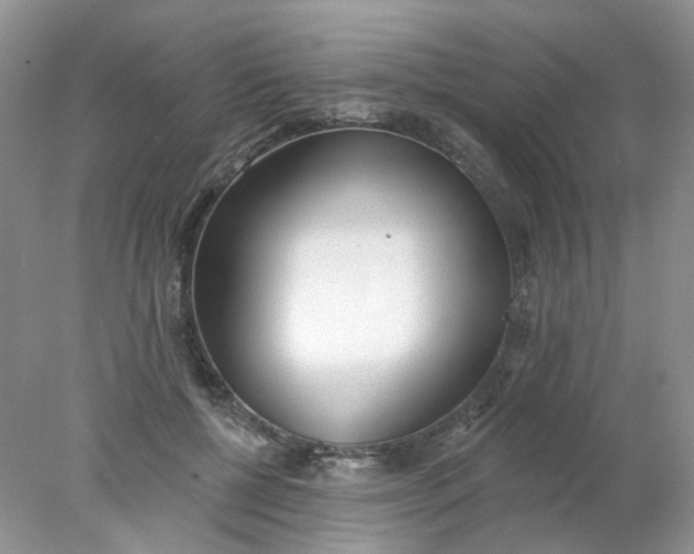 X0000078270552200611172033
